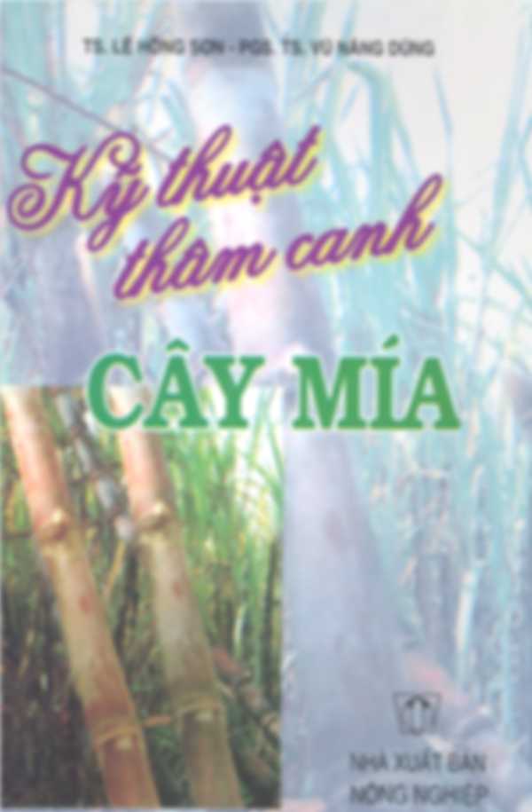 Kỹ thuật thâm canh cây mía