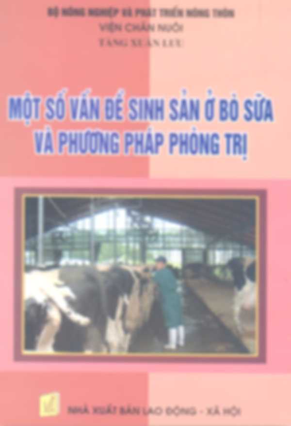 Một số vấn đề sinh sản ở bò sữa và phương pháp phòng trị