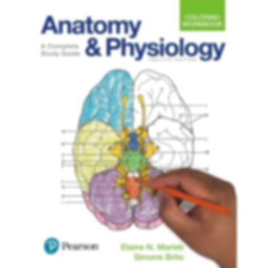 Anatomy & Physiology