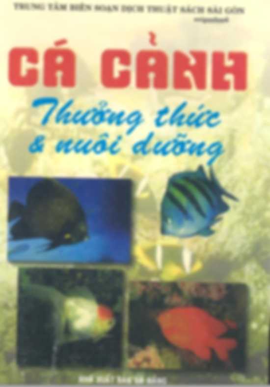 Cá Cảnh Thưởng Thức Và Nuôi Dưỡng