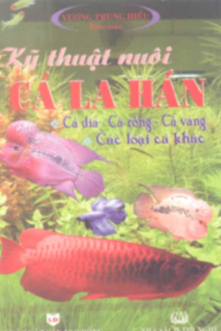 Kỹ thuật nuôi Cá la hán- cá dĩa - Cá rồng - cá vàng - cá xiêm - cá bảy màu