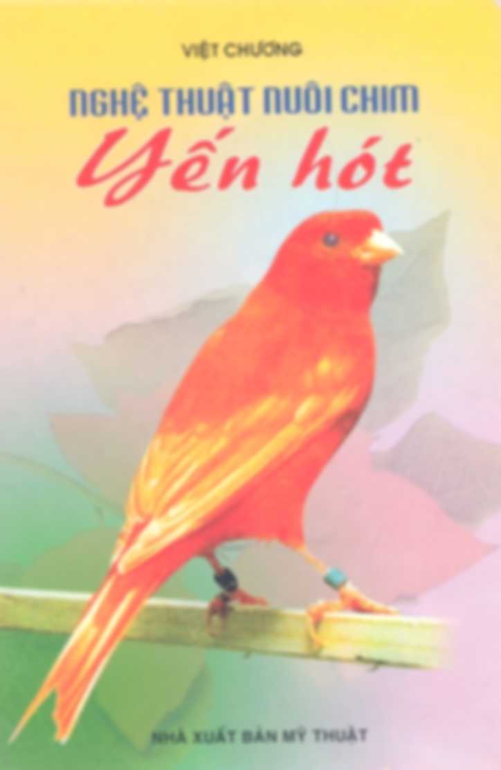 Nghệ thuật nuôi chim yến hót