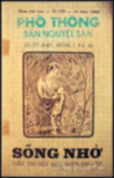 Nhật ký cao điểm 384