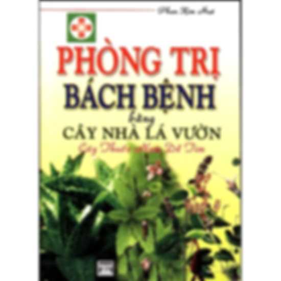 Phòng trị bách bệnh bằng cây nhà lá vườn, cây thuốc nam dễ tìm