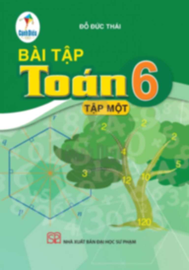 Bài Tập Toán 6 Tập 1 - Cánh Diều