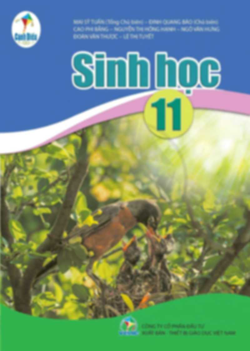 Sinh Học 11 - Cánh Diều