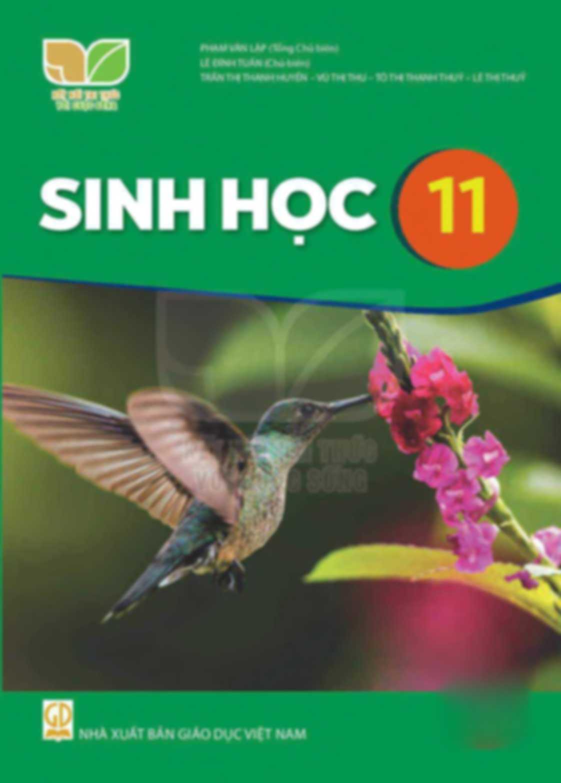 Sinh Học 11 - Kết Nối Tri Thức Với Cuộc Sống