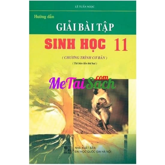 Hướng Dẫn Giải Bài Tập Sinh Học 11