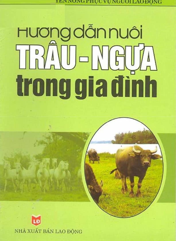 Hướng dẫn nuôi trâu ngựa trong gia đình