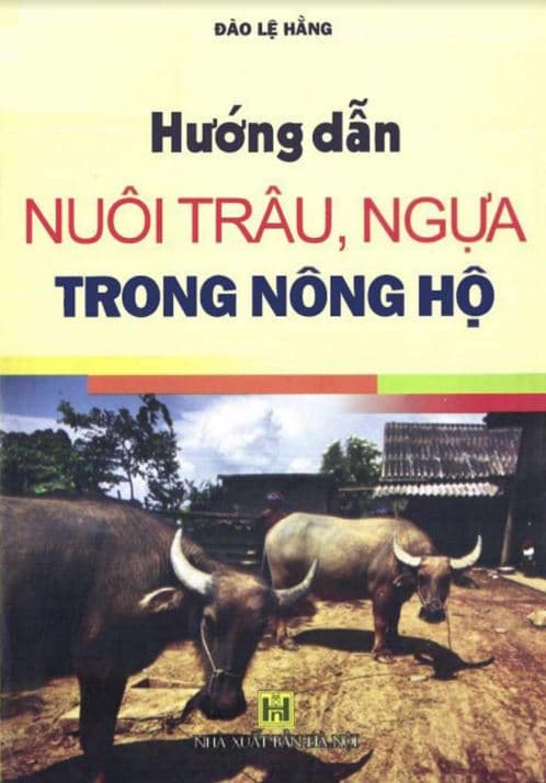 Hướng dẫn nuôi trâu ngựa trong nông hộ