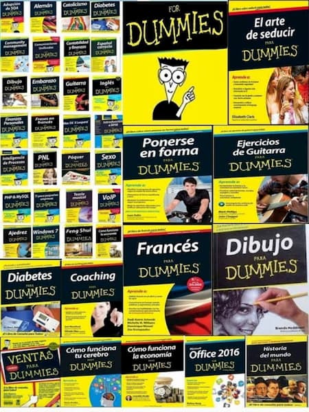 For Dummies Series (All fields) About 1000 books on Google Drive