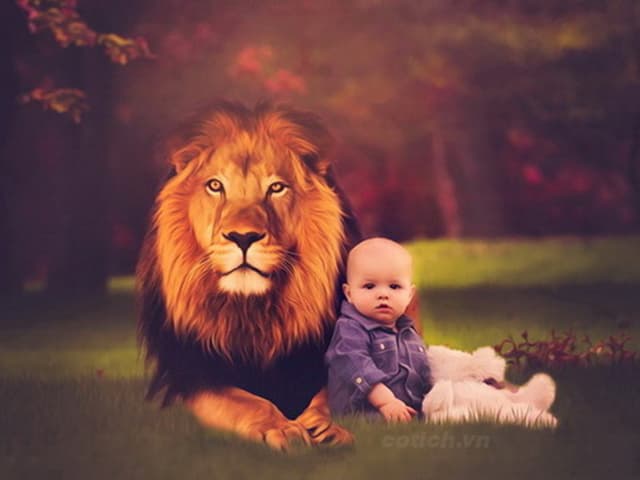 Cậu bé và bức tranh sư tử
