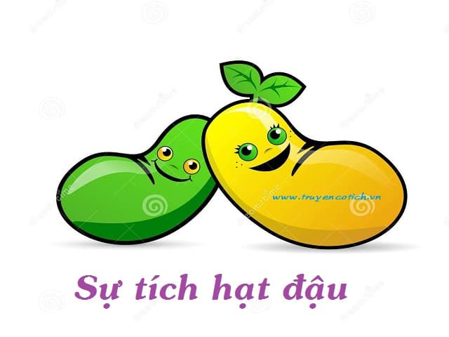 Sự tích hạt đậu