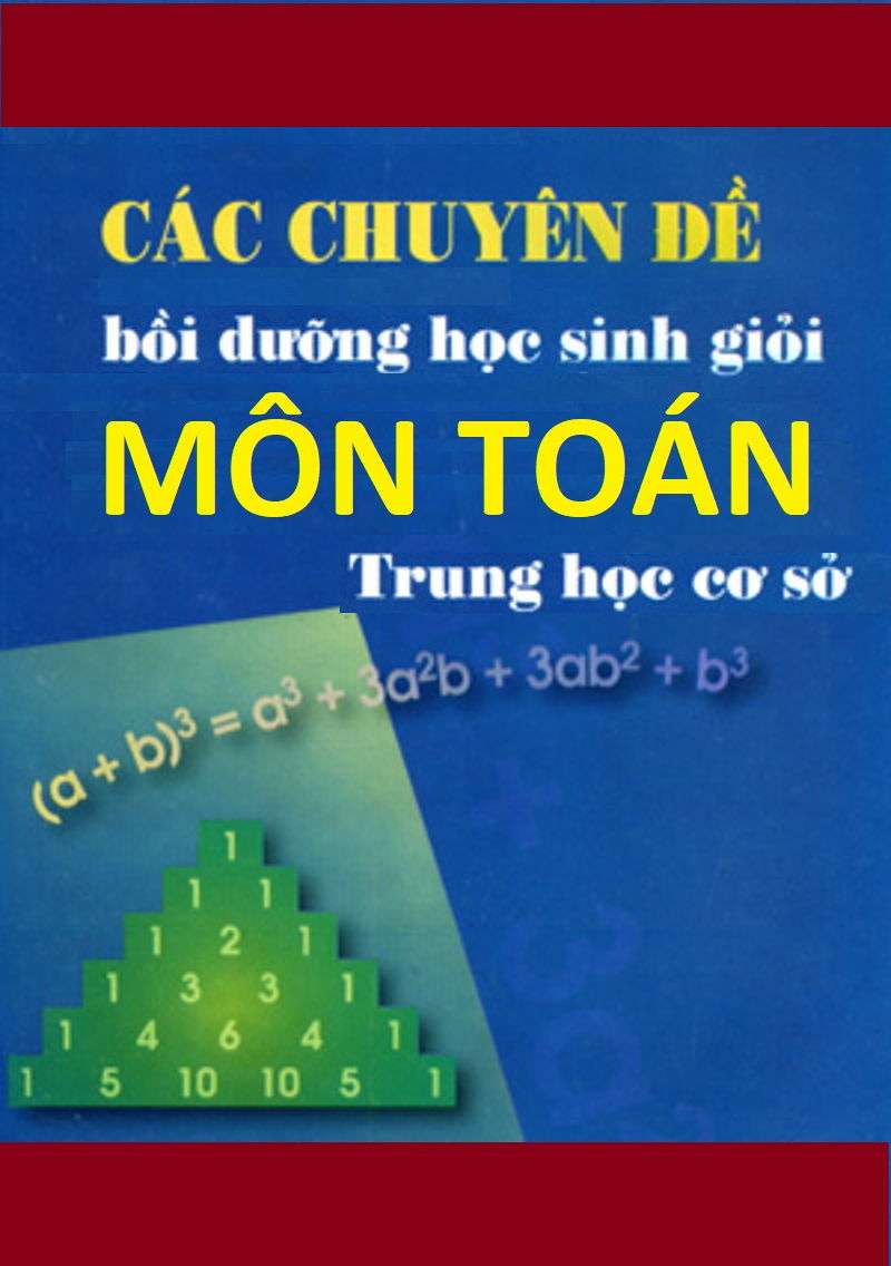 Các Chuyên Đề Bồi Dưỡng Hsg Môn Toán Thcs