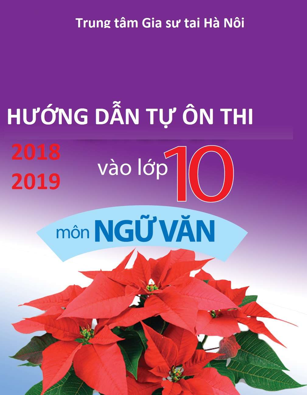 Hướng Dẫn Tự Ôn Thi Vào 10 Môn Ngữ Văn 2018-2019