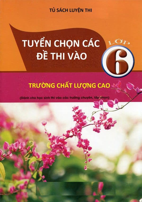 Tuyển tập các đề thi toán vào lớp 6 trường chất lượng cao