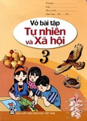 Vở Bài Tập Tự Nhiên Và Xã Hội Lớp 3