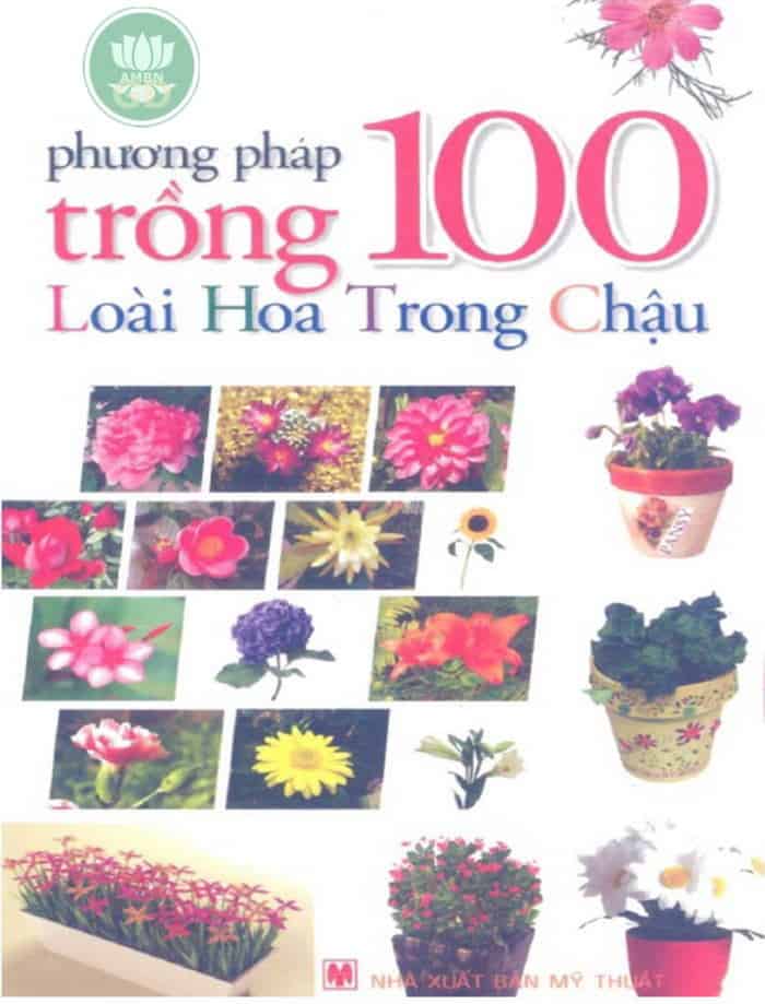 Phương Pháp Trồng 100 Loài Hoa Trong Chậu