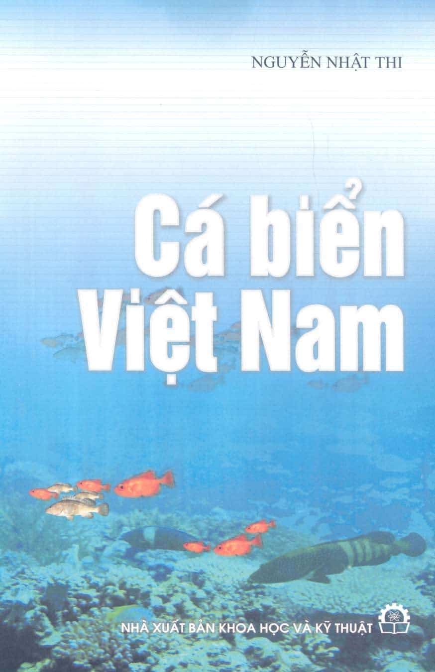 Cá biển Việt Nam