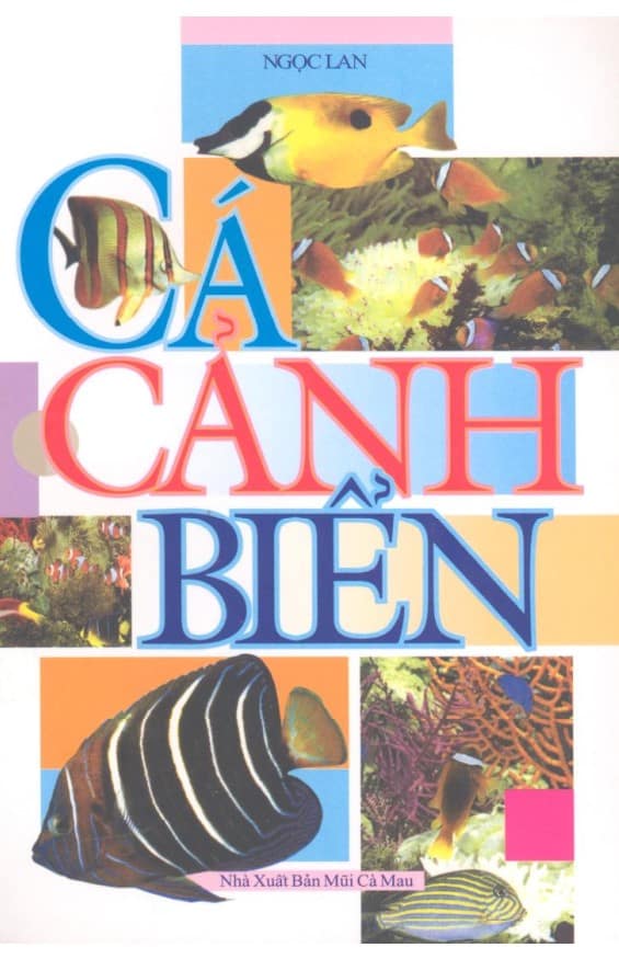 Cá Cảnh Biển