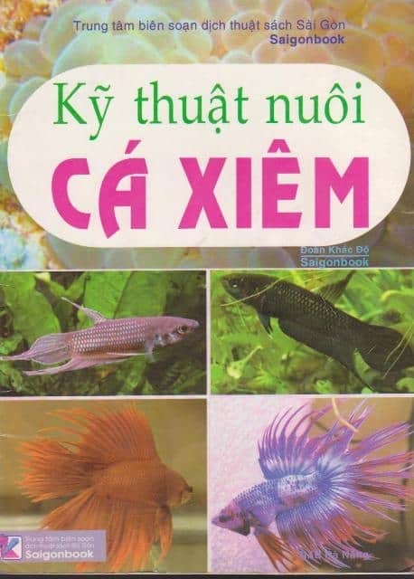 Kỹ Thuật Nuôi Cá Xiêm