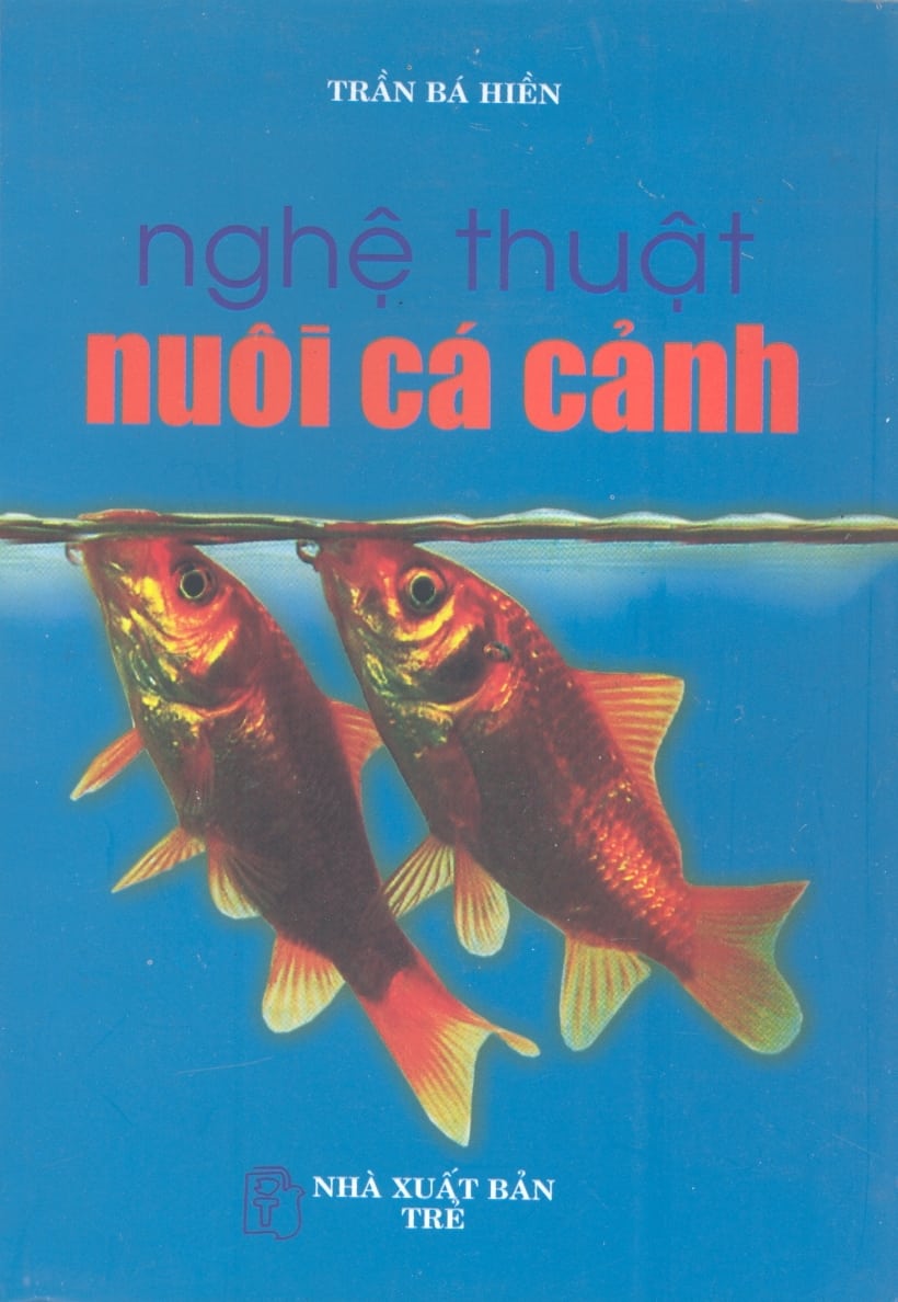 Nghệ Thuật Nuôi Cá Cảnh