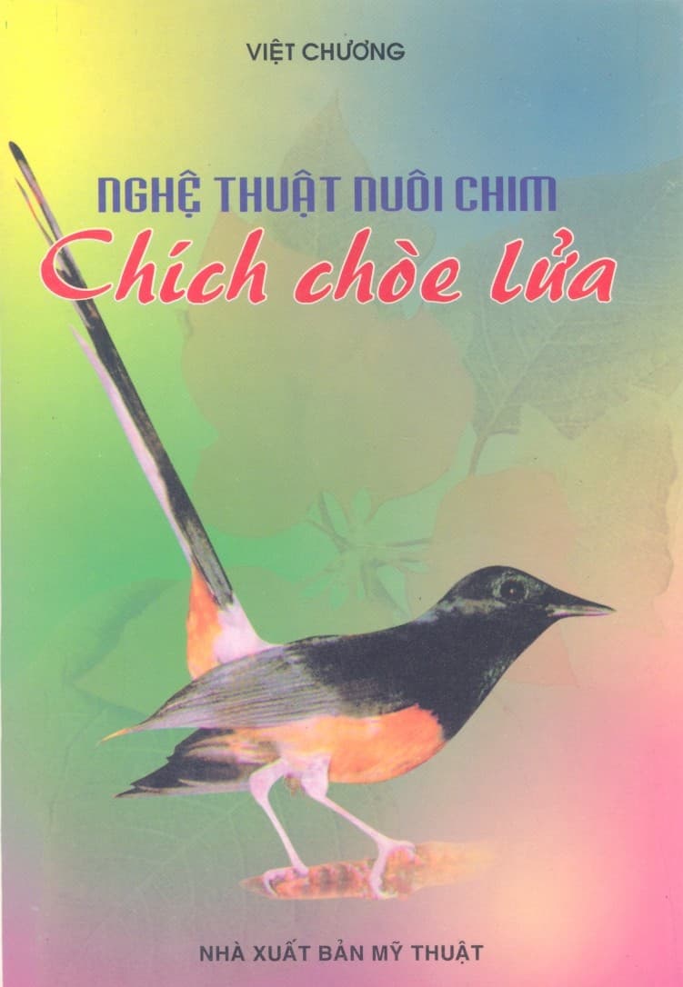 Nghệ Thuật Nuôi Chim Chích Chòe Lửa