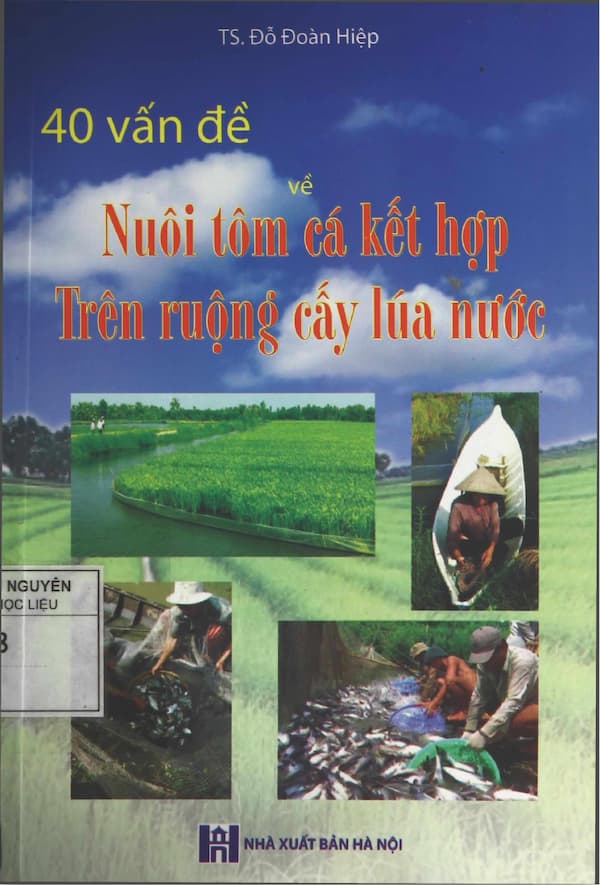 40 vấn đề về nuôi tôm cá kết hợp trên ruộng cáy lúa nước