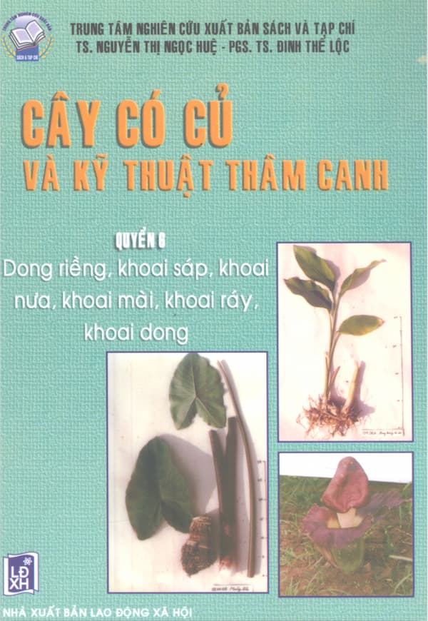 Cây có củ và kỹ thuật thâm canh - Quyển 6 | Mê Tải Sách