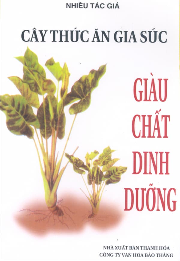 Cây thức ăn gia súc giàu chất dinh dưỡng