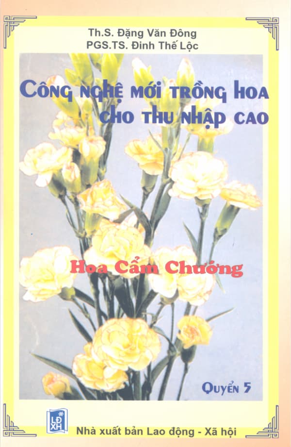 Công nghệ trồng hoa cho người thu nhập cao - Hoa cẩm chướng