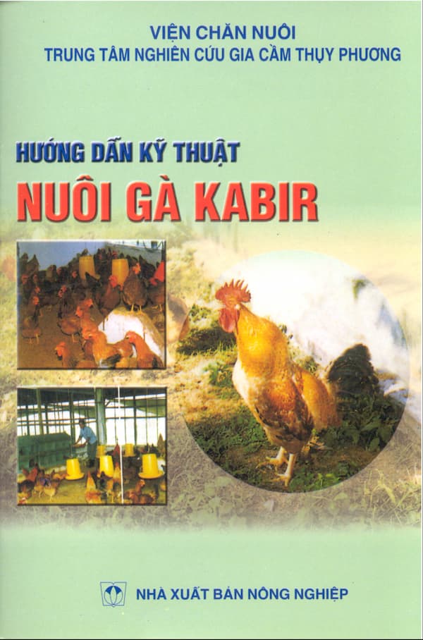 Hướng dẫn kỹ thuật nuôi gà Kabir