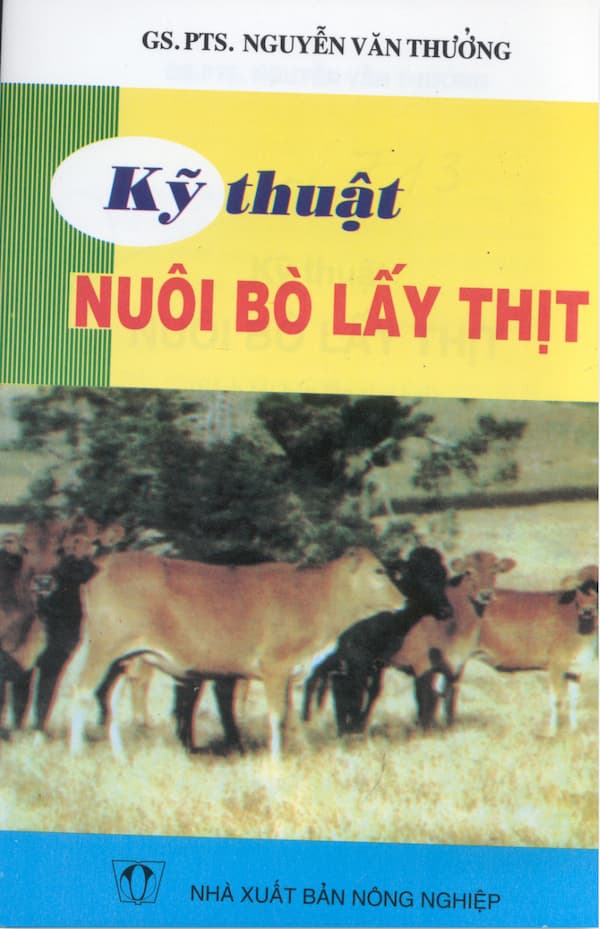 Kỹ thuật nuôi bò lấy thịt