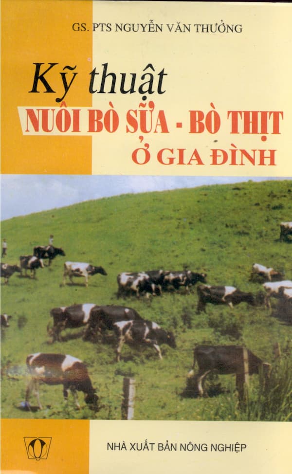 Kỹ thuật nuôi bò sữa - bò thịt ở gia đình