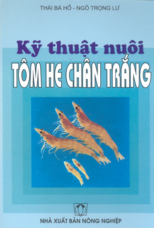 Kỹ thuật nuôi tôm he chân trắng