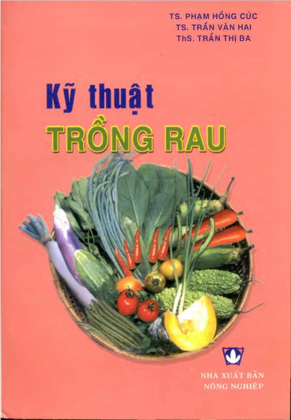 Kỹ thuật trồng rau