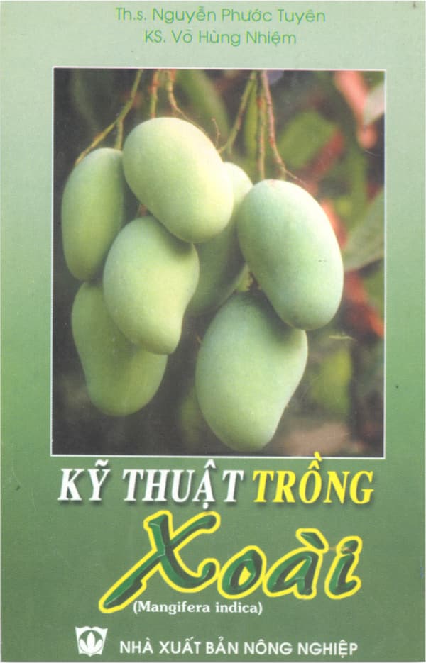 Kỹ thuật trồng xoài