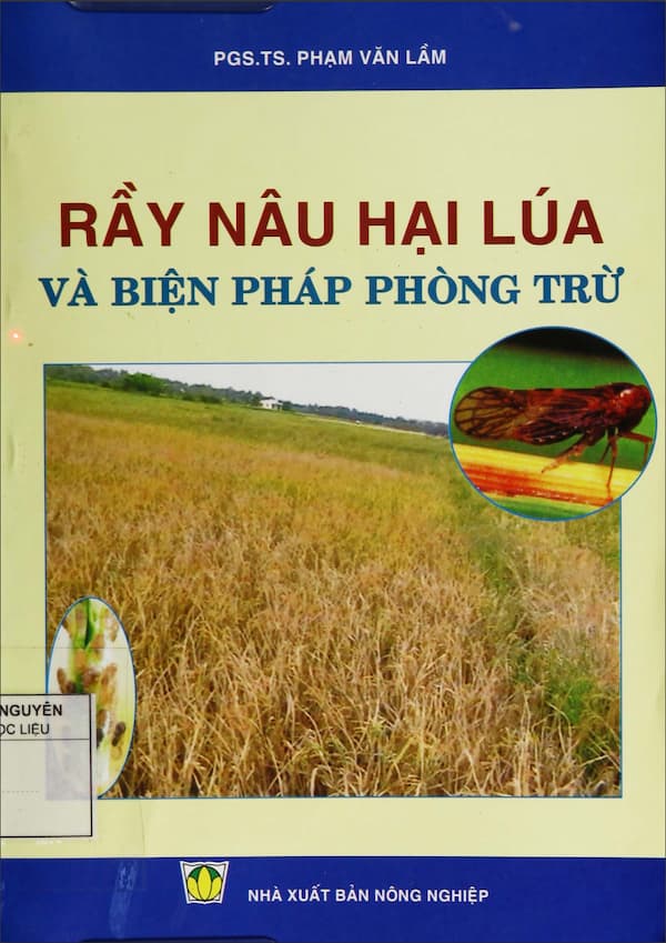 Rầy nâu hại lúa và biện pháp phòng trừ