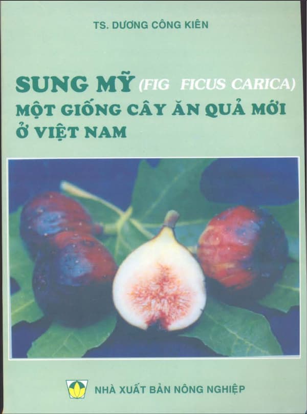 Sung Mỹ (Fig Ficus Carica) một giống cây ăn quả mới ở Việt Nam